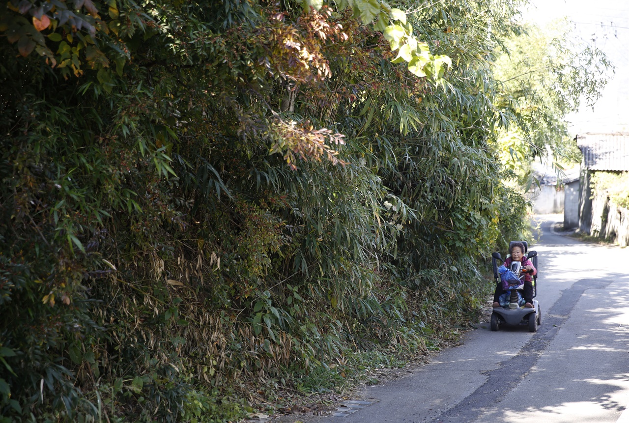 공북리 1구 구룡마을 풍경. 한 어르신이 사륜구동차를 타고 밭으로 향하고 있다.