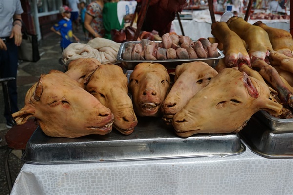 질뇨늬 바자르(녹색시장 Zelenyy Bazar)시장에서 갑자기 마주친 웃고 있는 염소 대가리