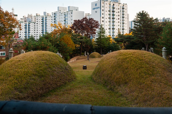 연산군묘. 글로 쓸 수 없을 정도로 극악무도한 만행을 저질렀다.