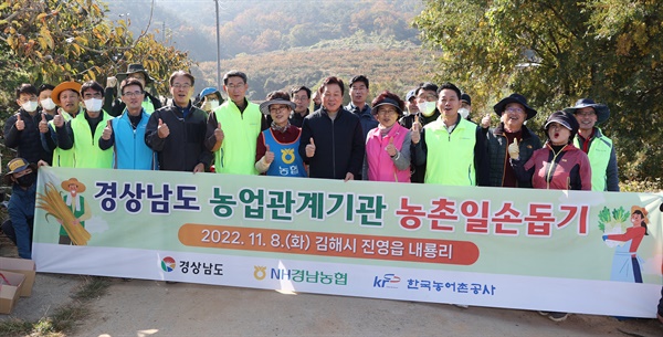  박완수 경남도지사, 8일 김해 진영 단감 수확 일손돕기.