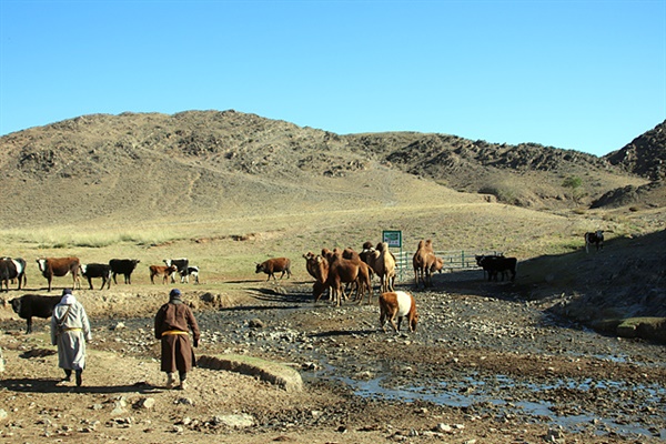 가축들에게 계곡에서 흘러나오는 물을 먹이는 유목민