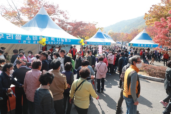  의령 부자축제.