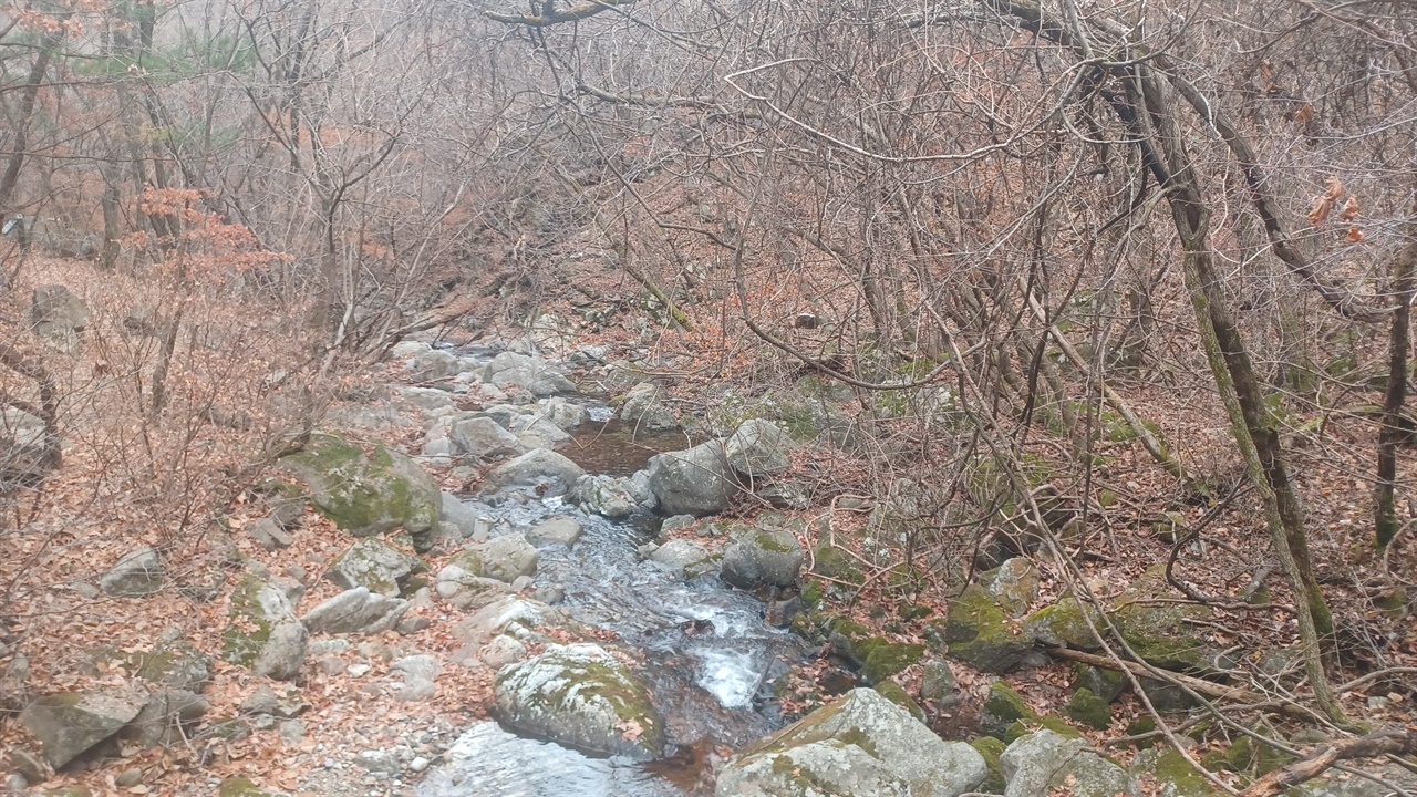 만추를 맞이한 소백산 계곡, 비가 온 뒤여서 계곡물이 많이 흐르고 있다.