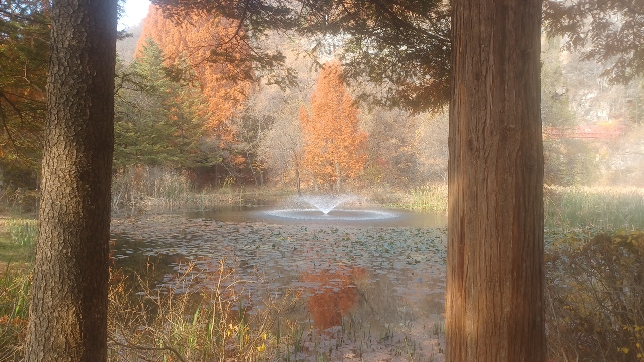 메타세콰이어 나무와 연못, 분수