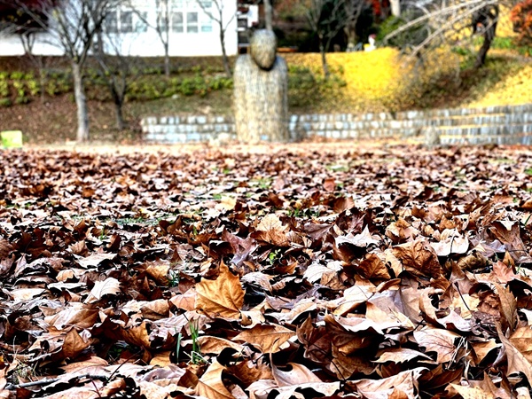 운동장을 가득 메운 낙엽, 밟는 소리가 일품이다.