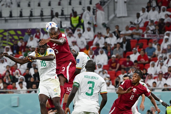  세네갈과 카타르의 경기 모습.