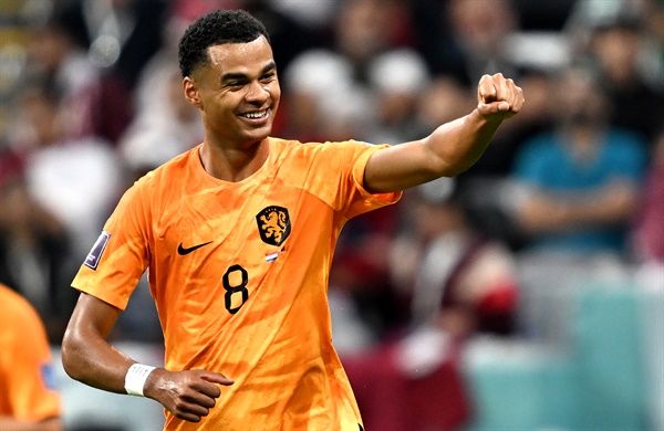  네덜란드의 코디 각포가 2022년 11월 29일 카타르 알코르의 알 바이트 스타디움에서 열린 2022년 FIFA 월드컵 조별리그 A조 네덜란드와 카타르의 경기에서 1-0으로 득점한 후 환호하고 있다.