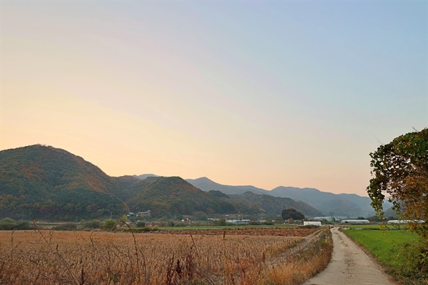  면적을 가늠할 수 없는 하늘의 화폭에 붉고 노란 옷동을 무수히 기워입은 산들이 늘어서 말없이 도로를 빨아들인다.