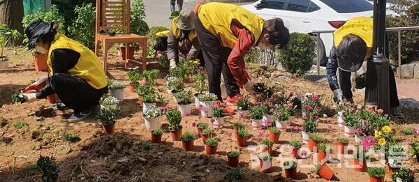 기흥구 서농동 SK모아봉사회 회원들이 단지 내 꽃밭에서 꽃을 심고 있다.