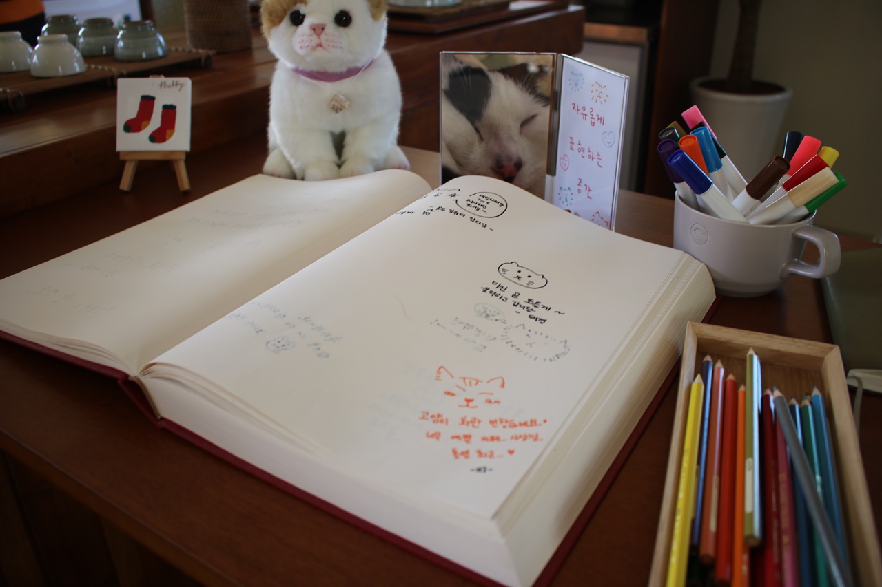 책방을 방문한 손님들이 남긴 글과 그림에는 고양이를 사랑하는 마음이 담겼다.