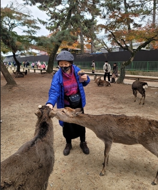 동대사에 들어서면 사슴이 먼저 반긴다. 먹이를 주면 달려와서 먹는 사슴들