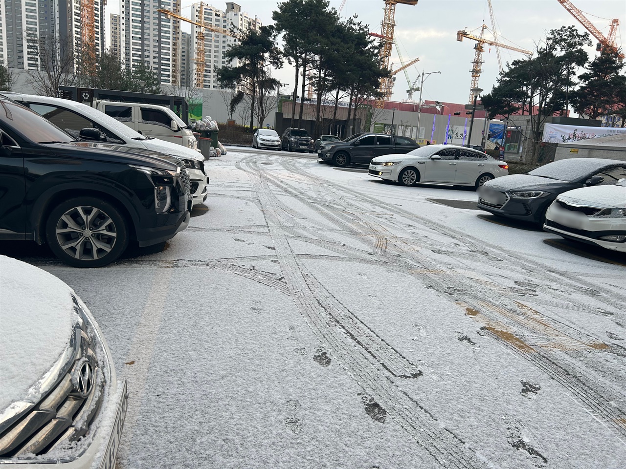 대설을 하루 앞둔 가운데 홍성지역에 많은 눈이 내렸다. 6일 홍성에는 밤사이 내린 눈으로 온통 하얗게 변했다.
