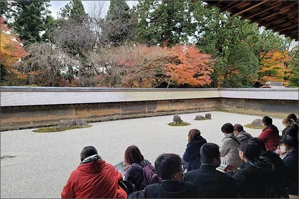 용안사의 백미는 석정(石庭)이다. 대청마루처럼 생긴 관람석에 앉아서 정원을 보고 있는 관광객들 