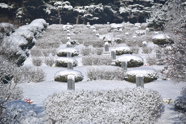  대전현충원 장군 제1묘역 비석 위에도 밤새 내린 눈이 내려앉았다.