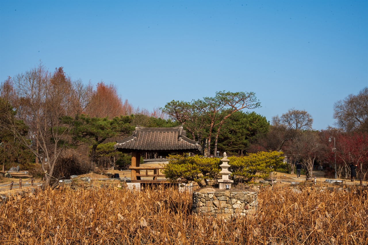 페리기념연못. 시든 연꽃 뒤로 작은 석탑과 정자가 눈에 들어온다. 한여름이 되면, 미국의 저명한 연꽃 학자인 페리 슬로컴(Perry D. Slocum)이 손수 개발한 연꽃들을 볼 수 있다.