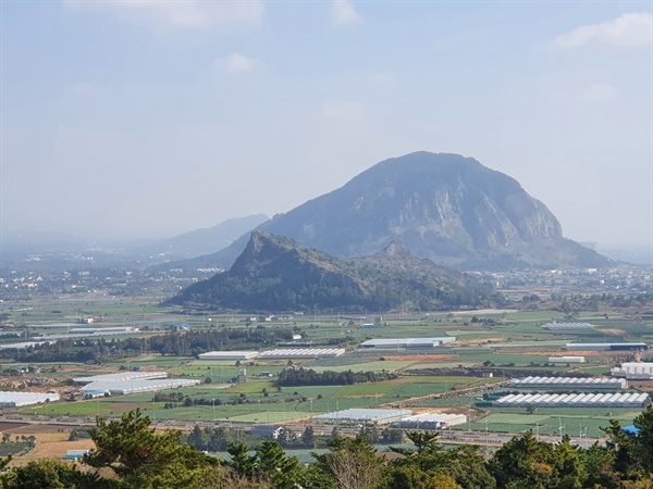 송악산에서 바라본 모슬포 일대 일제강점기 당시 알뜨르 비행장이 들어서는 등 군사기지화 한 모슬포 지역