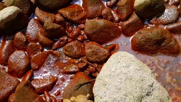 영풍제련소 공장부지에서 흘러나온 침출수가 낙동강의 자갈돌을 붉게 물들이고 있다. 