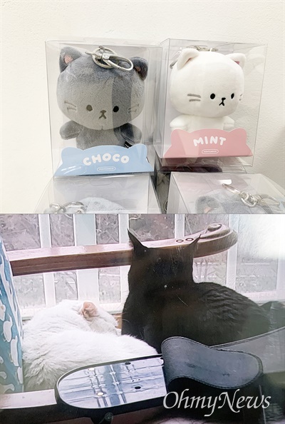 이태원 참사 희생자 이주영씨가 직접 디자인한 고양이 캐릭터. 집에서 기르는 흰색·검은색 고양이 두 마리가 모티브가 됐다.