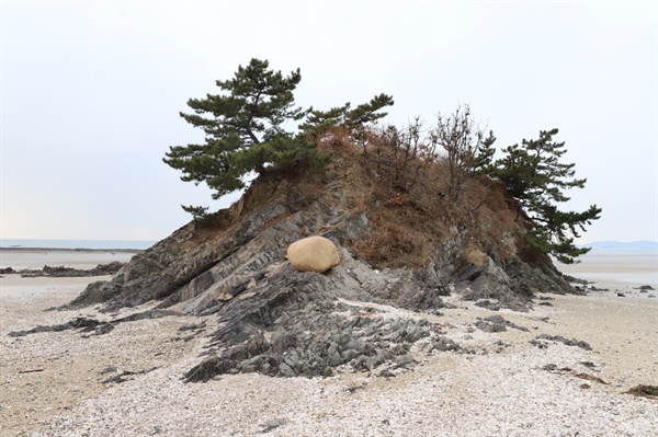  청포대 해변에 자리한 자라바위. 색이 다른 바위가 덕바위다. 이곳 자라바위에는 지난 2010년 워크숍 차 태안을 찾았던 농수산식품부 공무원들이 탄 승합차가 이곳 자라바위를 들이받고 8명이 사망하는 대형사고가 발생한 아픔을 지니고 있다.