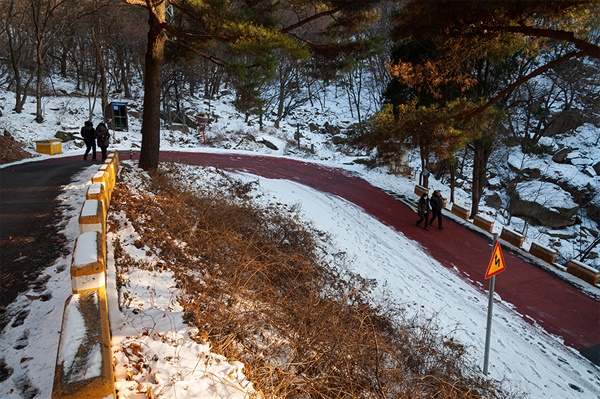 삼성산 산책로. 구절양장 꼬부랑길이 계속 이어진다.