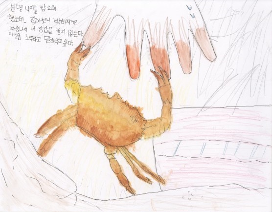 '1004섬 신안 그림책 아일랜드 원화展(전)'에 전시된 섬마을 어린이들의 그림.