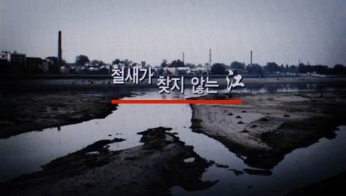 철새들이 찾지 않는 죽음의 강으로 묘사한 4대강 홍보 동영상 갈무리