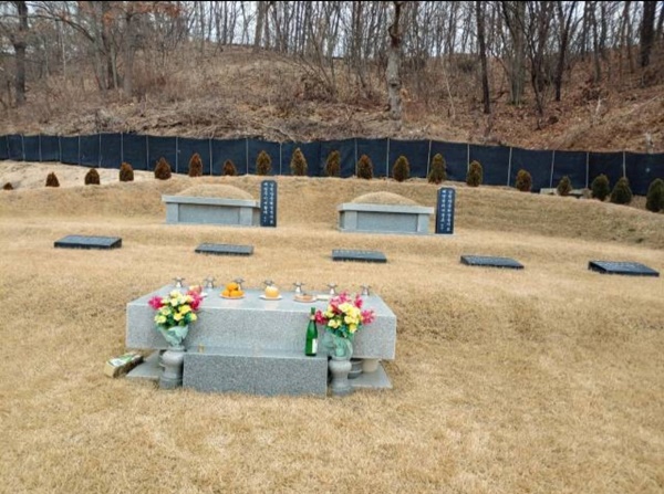  날씨가 춥지 않은 추석에는 아버지 고향 근처 선산에 있는 조상님들 묘소로 직접 성묘를 간다.