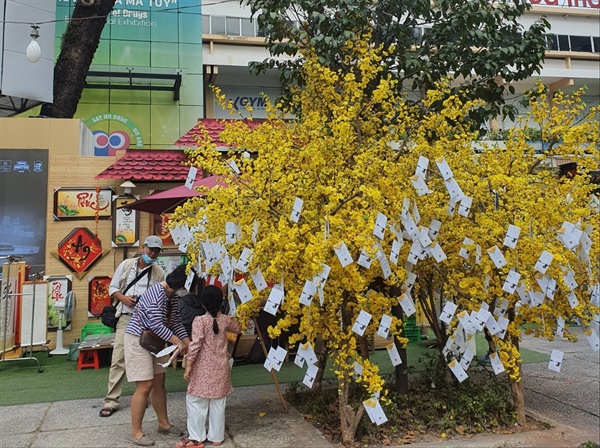 호치민에서 노란 꽃나무는 재물과 복을 상징한다