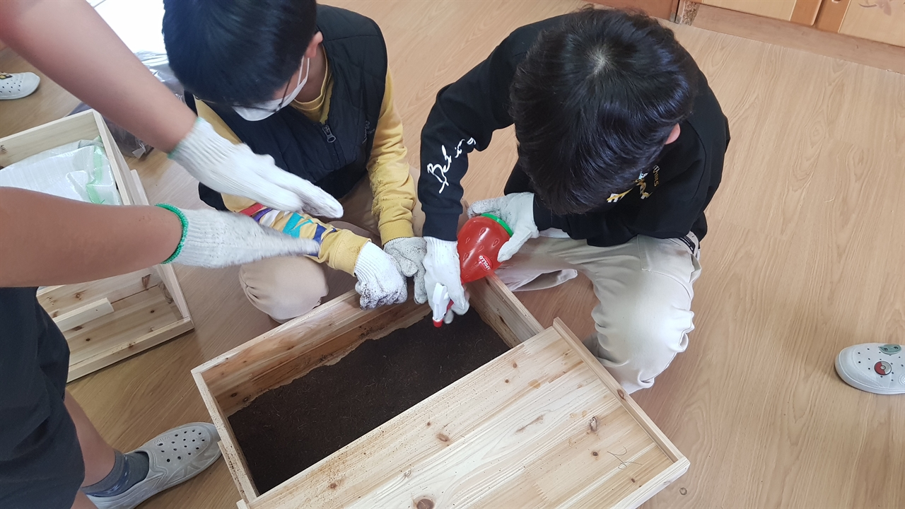  대전 회덕초 3학년 1반 학생들이 '환경파수꾼' 프로젝트 수업시간에 지렁이를 사육하기 위한 사육장을 직접 만들고 있다. 