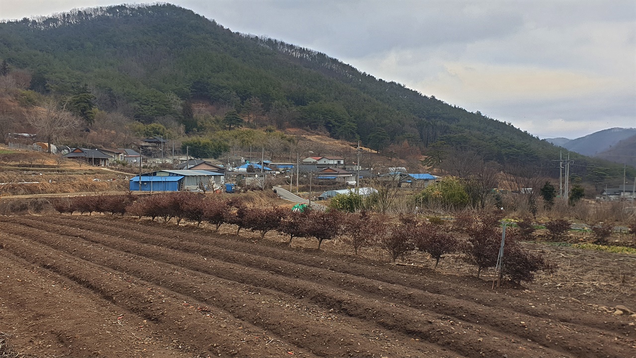 밭이랑과 어우러지는 무동마을풍경. 산골의 전형을 보여주고 있다. 지난 1월 15일 모습이다.
