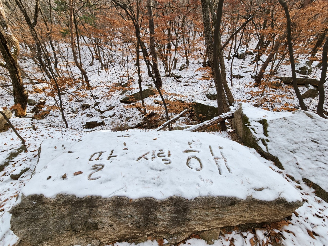  세상의 모든 딸들, 우리 모두를 위한 말