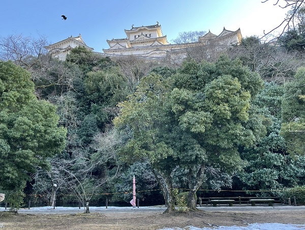          히메지성 북동쪽 뒤쪽에서 올려다본 천수각입니다. 성을 감싸고 전체가 석축이나 나무로 둘러쳐져있습니다.