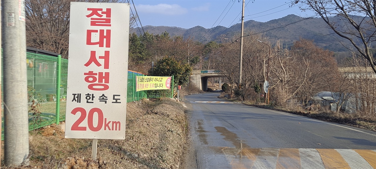 충남 홍성군 갈산면 대사리 마을 앞 도로 곳곳에는 속도를 20km  이내로 제한한다는 표지판이 세워져 있다. 