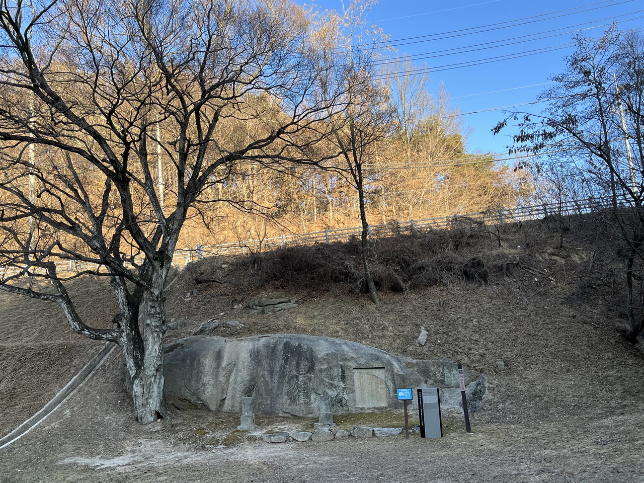 여원재 마애불상. 바위 옆에 20m가 넘는 높이로 서 있는 서어나무가 우람하고 당당하다.