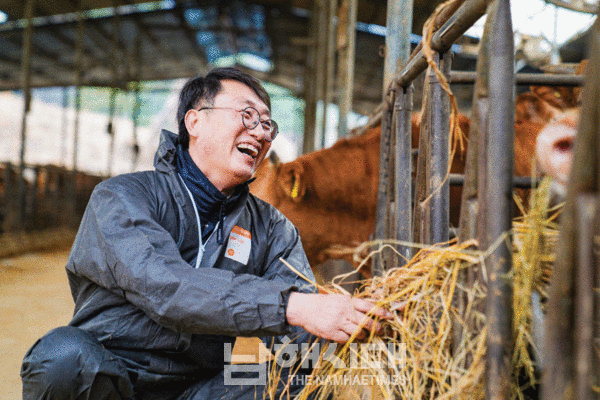  백년농장 농장주 이병열 씨가 소를 향해 웃으면서 짚을 건네고 있다.