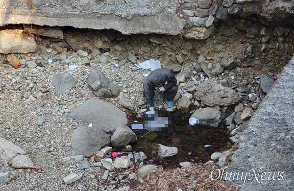 2월 8일 창원 광려천에서 왜가리 사체가 발견되었다.