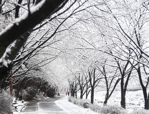  10일 거창 건계정 산책로.