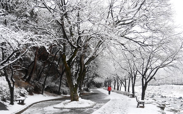  10일 거창 건계정 산책로.