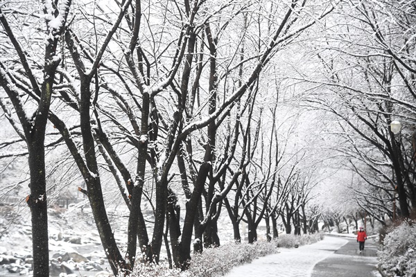  10일 거창 건계정 산책로.