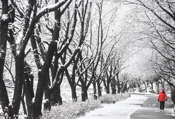  10일 거창 건계정 산책로.