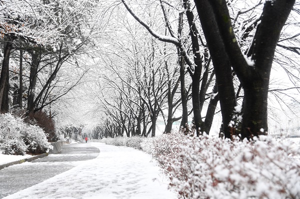  10일 거창 건계정 산책로.