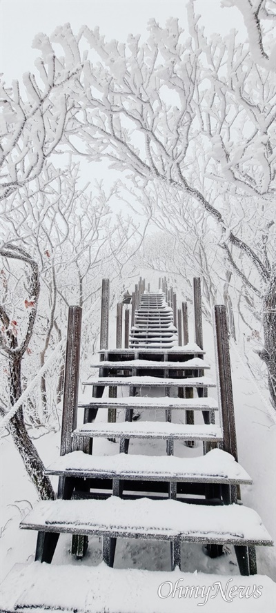  2월 15일 신불산에 내린 눈.