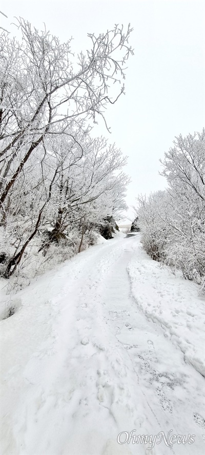  2월 15일 신불산에 내린 눈.