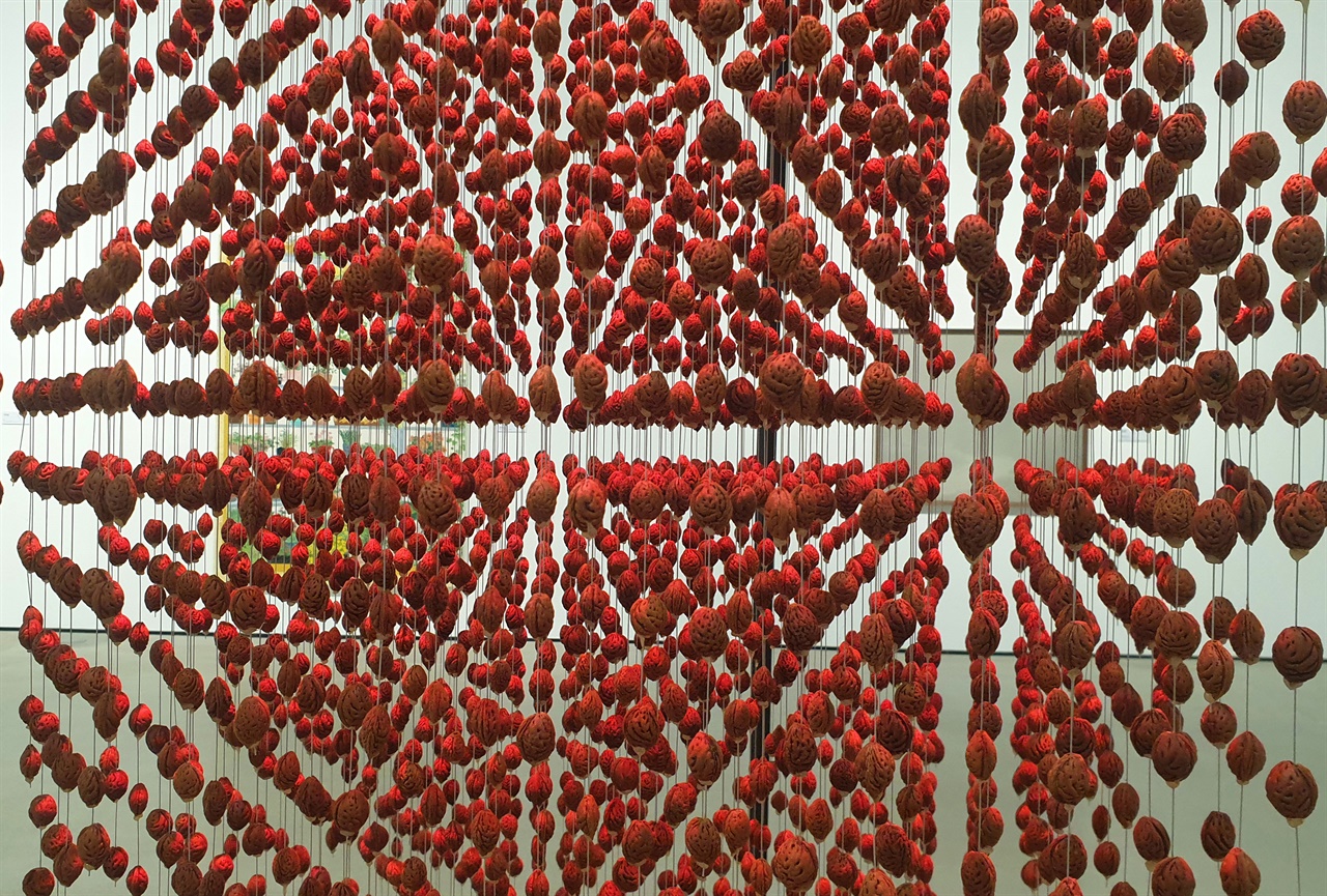 전남도립미술관에서 전시되고 있는 김동석의 작품 '석과불식'-숲을 그리다. 수백 개의 씨앗으로 숲을 표현하고 있다.