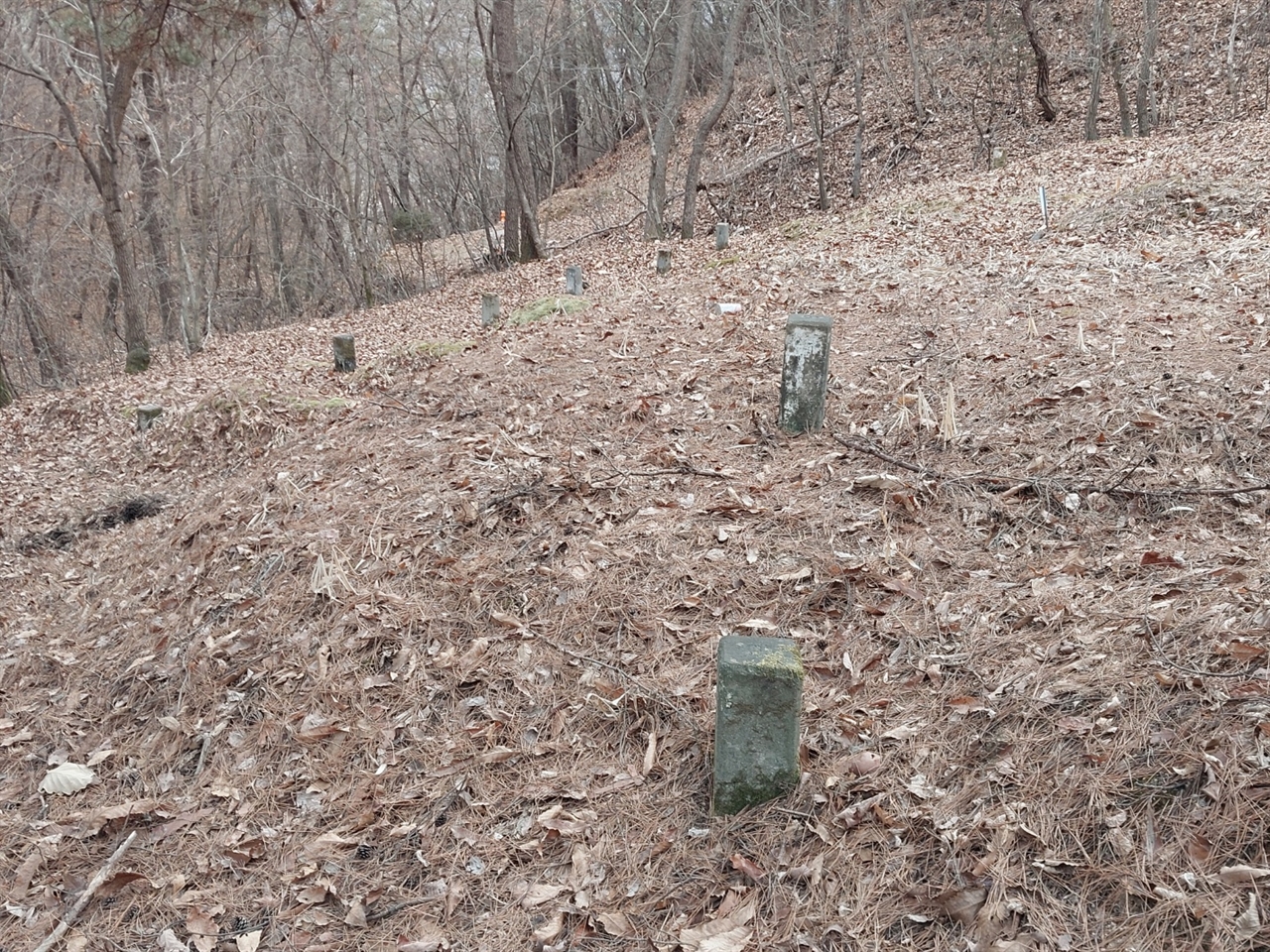 대전추모공원 내 대전교도소 무연고묘역. 10기가 조성돼 있는데 '교도소'라고 새긴 표지가 없다면 묘지인지 조차확인하기 어렵다.