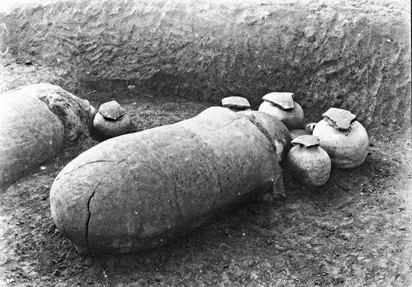 발굴당시 옹관의 모습. 옹관(甕棺)’은 흙으로 만든 커다란 항아리 두 개를 붙여서 만든 관이다