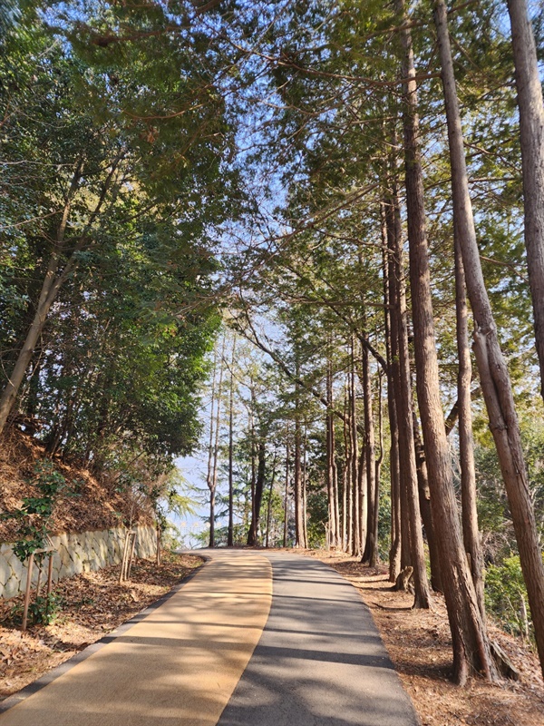 군산 월명산 산책, 산새소리와 청솔모와 바람소리 등 신선한 공기 등을 마시면서 심신의 안정을 취한다.