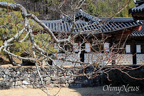  운림산방 일지매, 꽃눈이 맺힌 나뭇가지.