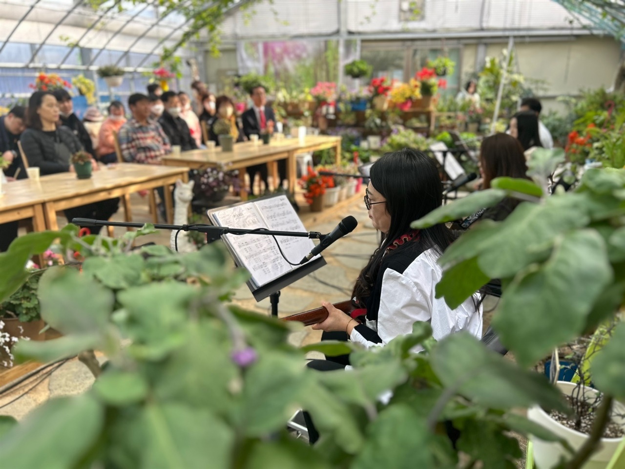 온실 내 작은 무대에서 열린 이날 음악회에서 '소리둥지'는 주말을 맞아 676.8㎡의 식물원을 찾은 관광객을 비롯해 지역주민 30여 명에게 감미로운 통기타 음악을 통해 힐링을 선물했다.