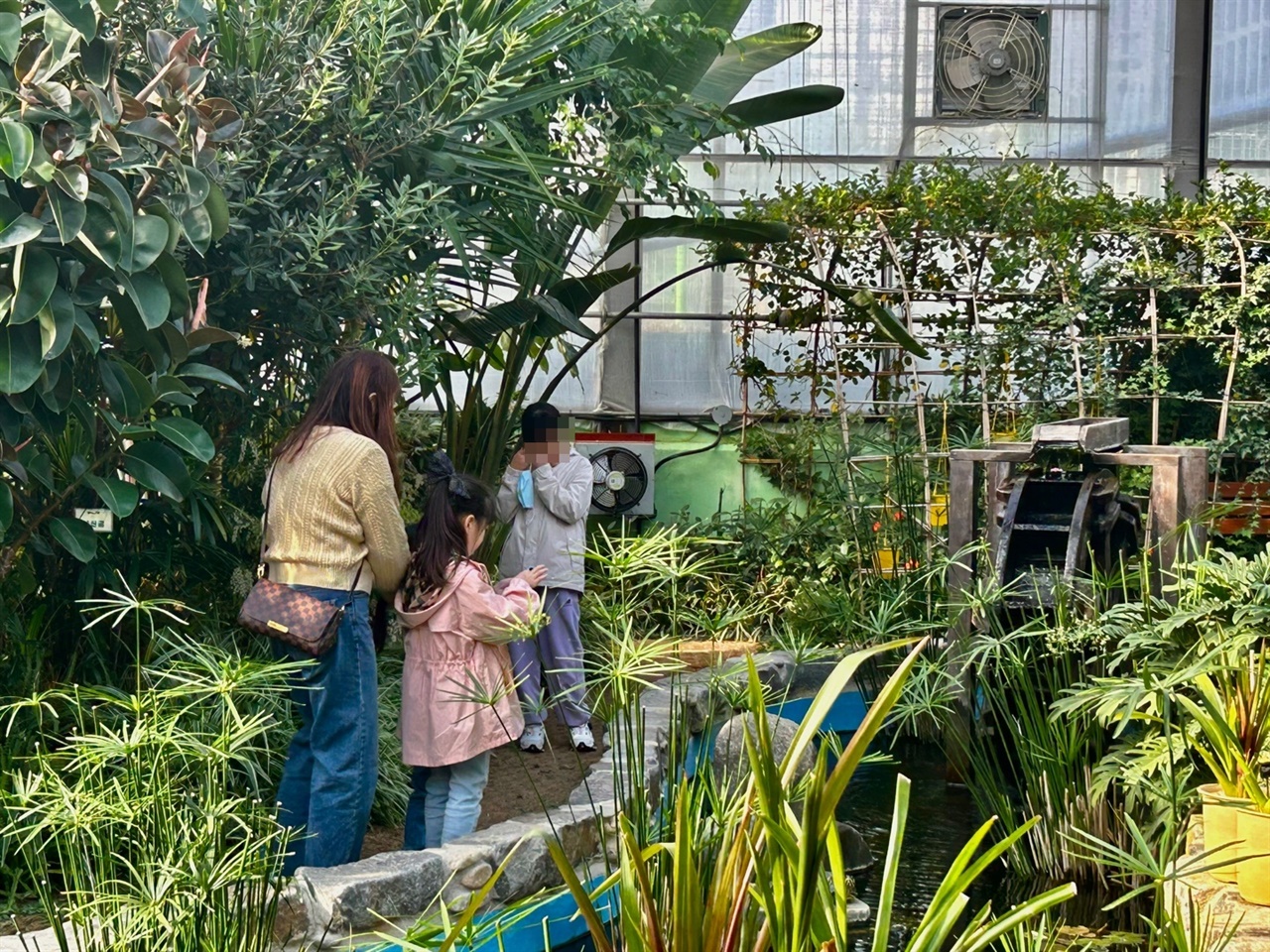홍성군농업기술센터 온실 내 작은 무대에서 통기타 작은 음악회가 열리는 가운데, 가족단위 나들이객이 온실 내 식물들을 관람하고 있다. 